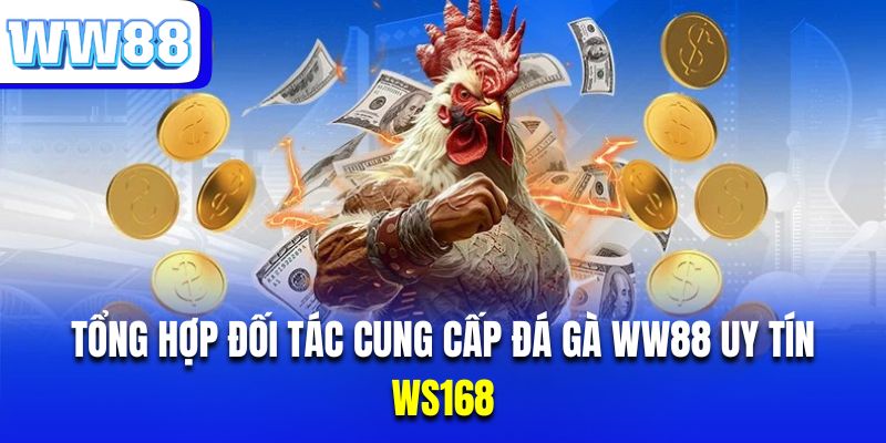 Đối tác WS168 là đơn vị cung cấp đá gà uy tín nhất nhà cái 