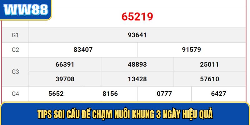 Tips soi cầu đề chạm trong 3 ngày hiệu quả