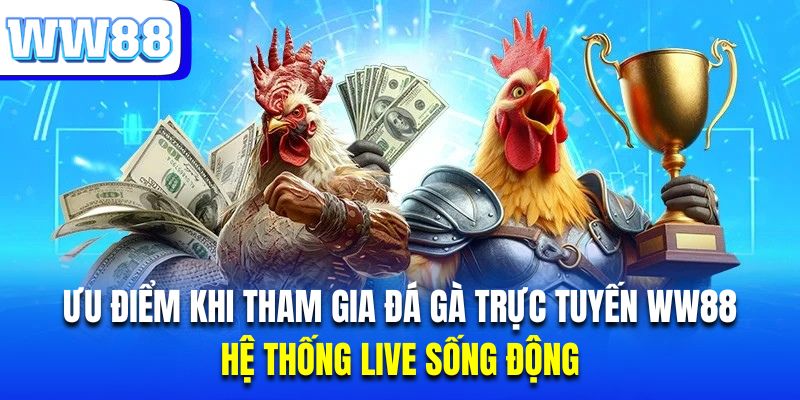 Nhà cái tích hợp hệ thống live siêu nét trong từng trận đấu